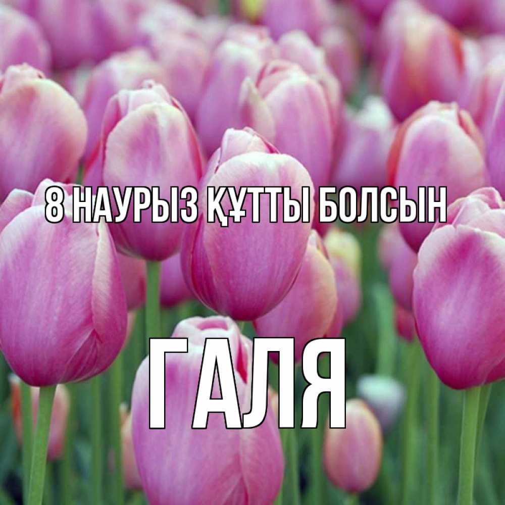 Күн сайын ашық хат с именем, Галя 8 наурыз құтты болсын на международный женский день 3 Онлайн тегін жүктеп алу тілектері бар керемет карта 