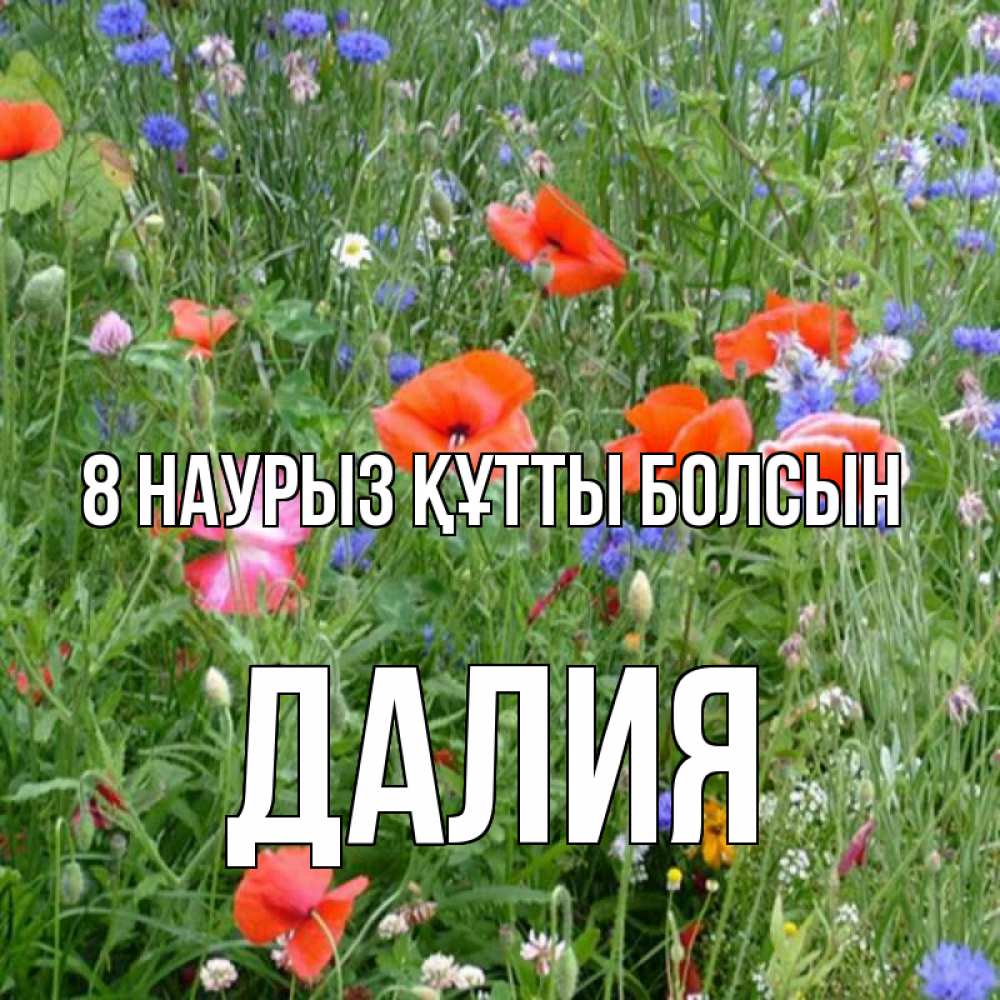 Күн сайын ашық хат с именем, Далия 8 наурыз құтты болсын международный женский день 4 Онлайн тегін жүктеп алу тілектері бар керемет карта 
