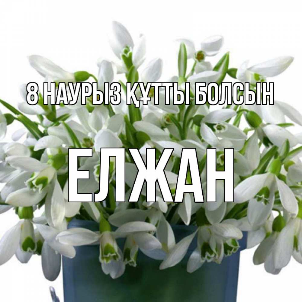Күн сайын ашық хат с именем, Елжан 8 наурыз құтты болсын цветы к международному женскому дню Онлайн тегін жүктеп алу тілектері бар керемет карта 