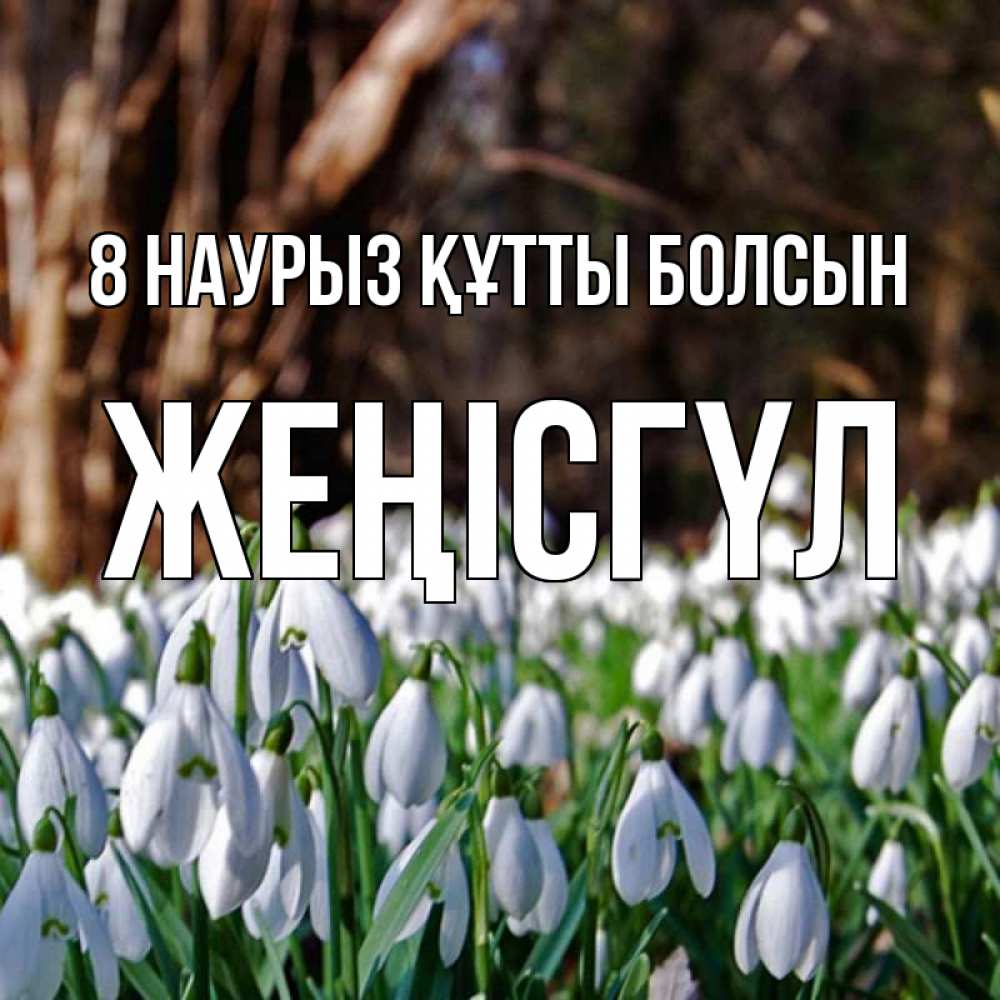 Күн сайын ашық хат с именем, ЖЕҢІСГҮЛ 8 наурыз құтты болсын с подснежниками 1 Онлайн тегін жүктеп алу тілектері бар керемет карта 