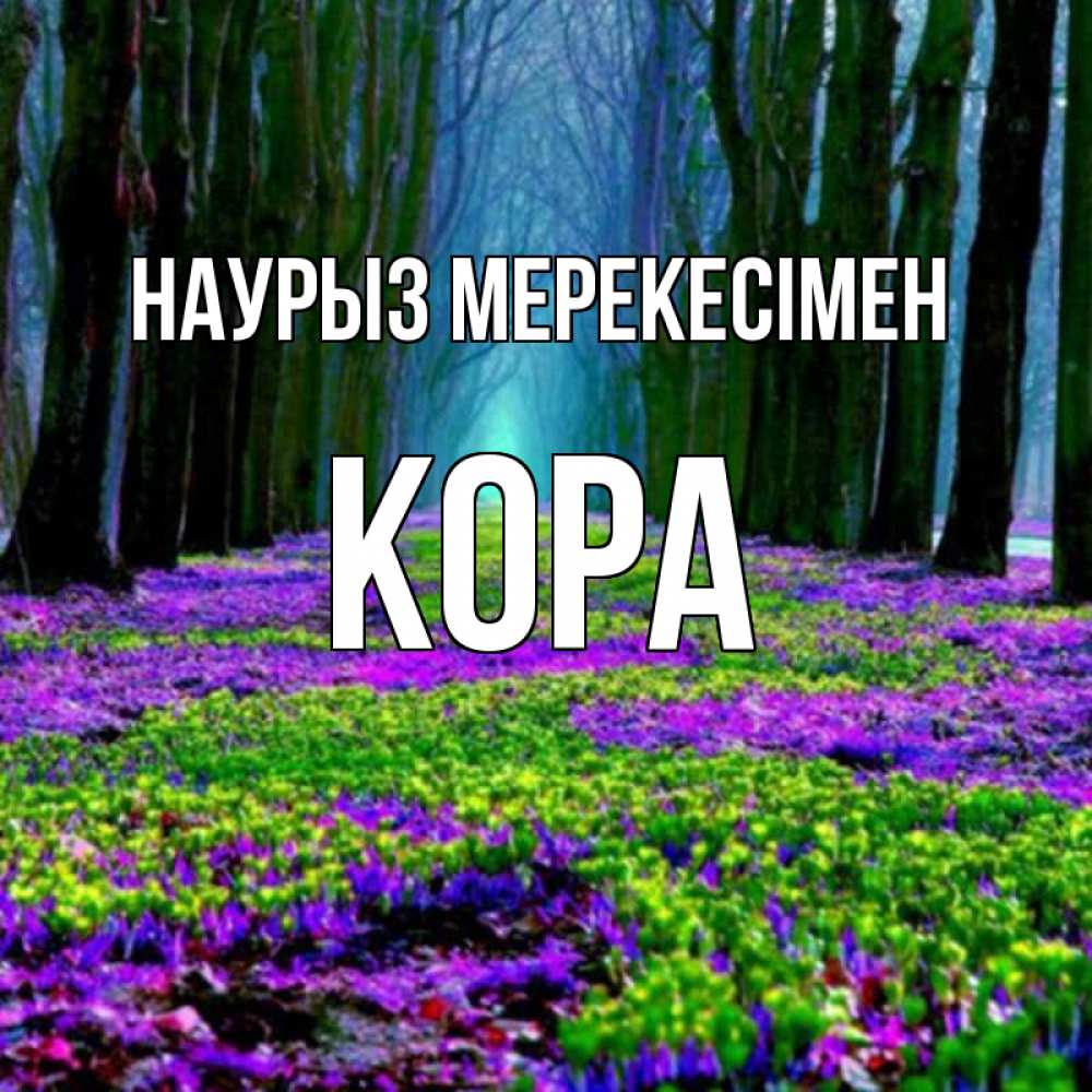 Күн сайын ашық хат с именем, Кора Наурыз мерекесімен фиолетовые цветы в лесу 1 Онлайн тегін жүктеп алу тілектері бар керемет карта 