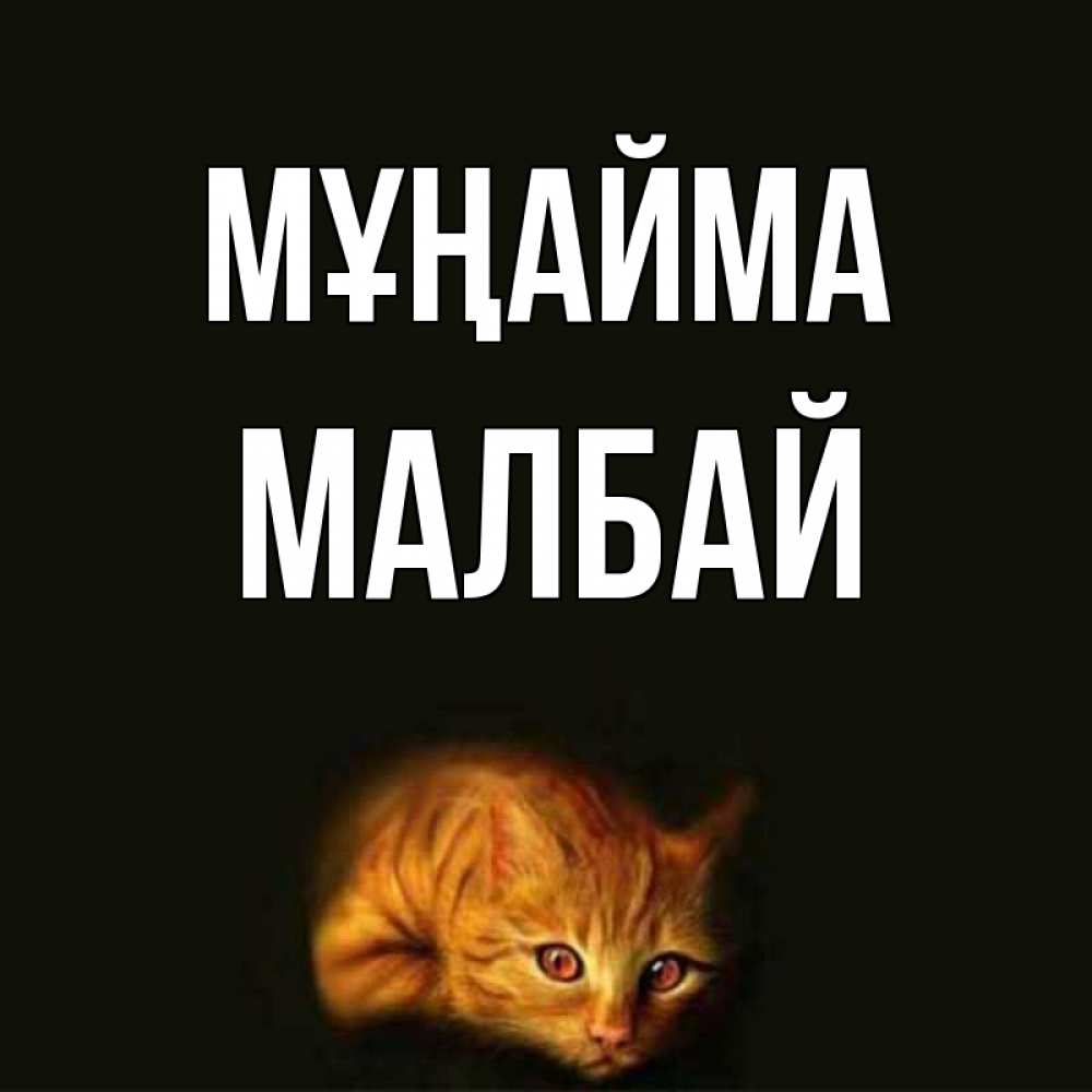 Күн сайын ашық хат с именем, МАЛБАЙ Мұңайма лежащий кот в темноте Онлайн тегін жүктеп алу тілектері бар керемет карта 