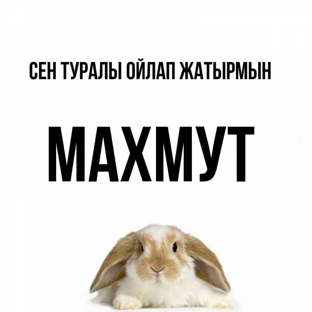 Күн сайын ашық хат с именем, МАХМУТ Сен туралы ойлап жатырмын подписать своими руками онлайн Онлайн тегін жүктеп алу тілектері бар керемет карта 