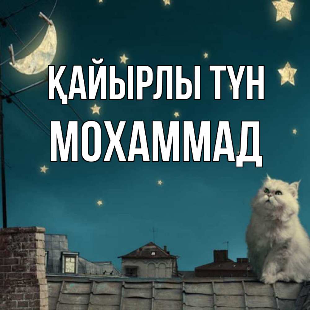 Күн сайын ашық хат с именем, Мохаммад Қайырлы түн белый кот сидит на крыше Онлайн тегін жүктеп алу тілектері бар керемет карта 