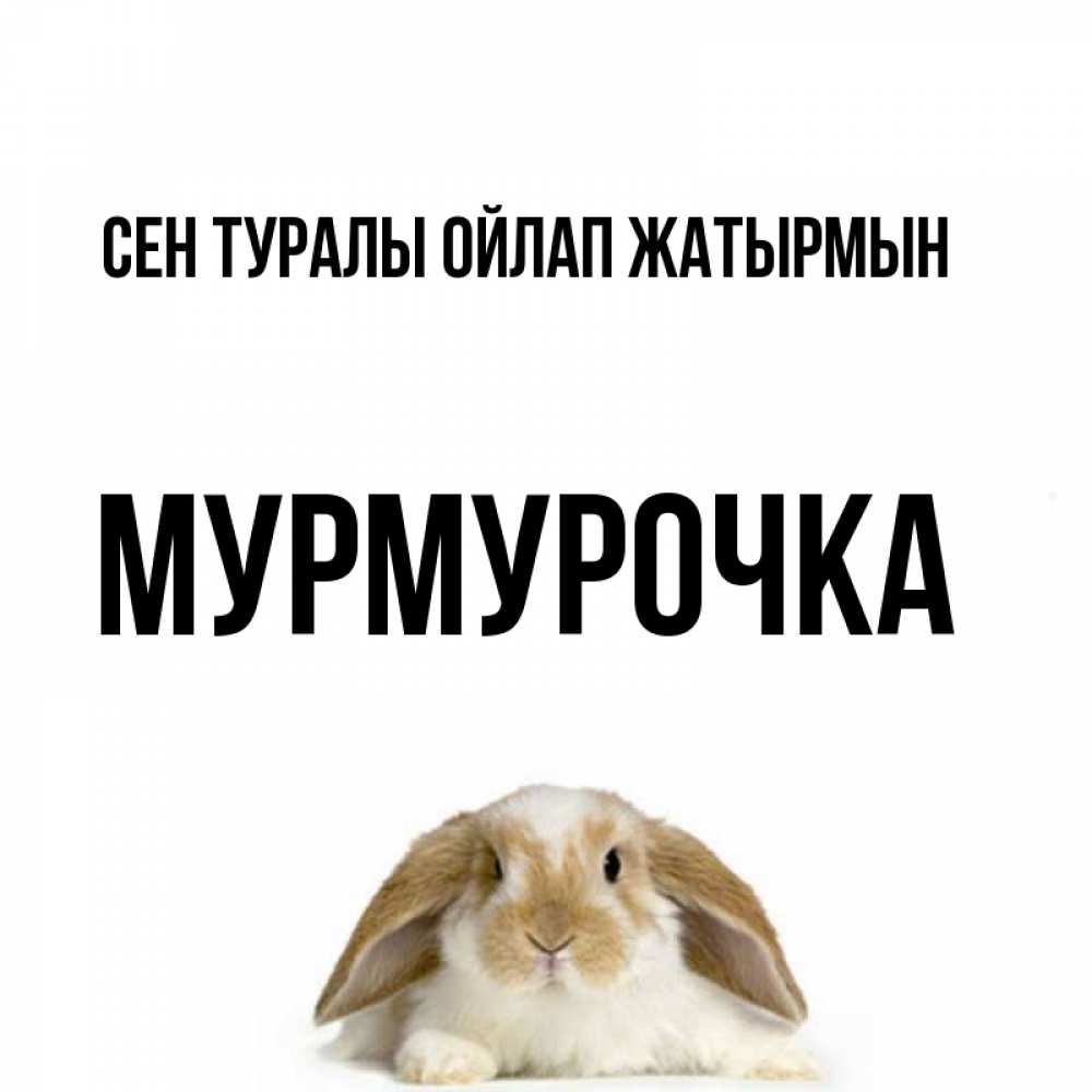 Күн сайын ашық хат с именем, Мурмурочка Сен туралы ойлап жатырмын подписать своими руками онлайн Онлайн тегін жүктеп алу тілектері бар керемет карта 