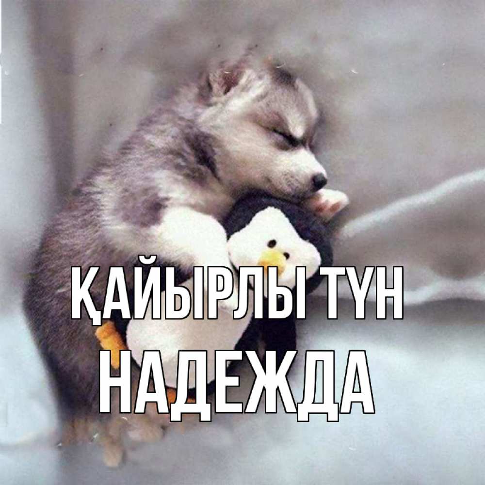 Күн сайын ашық хат с именем, Надежда Қайырлы түн обнимашки щенка и пингвина Онлайн тегін жүктеп алу тілектері бар керемет карта 
