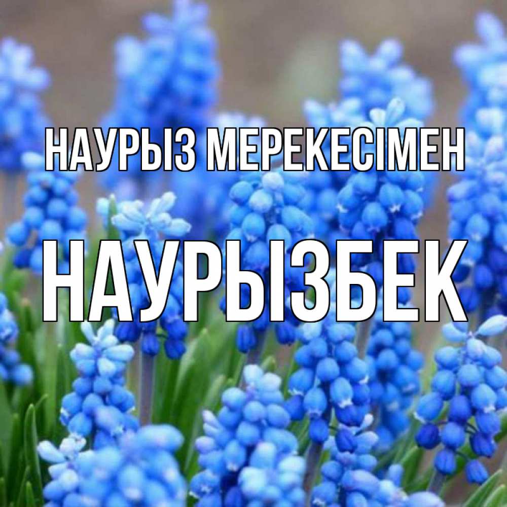 Күн сайын ашық хат с именем, Наурызбек Наурыз мерекесімен Поздравительная открытка для женщин с цветами на праздничную дату Онлайн тегін жүктеп алу тілектері бар керемет карта 