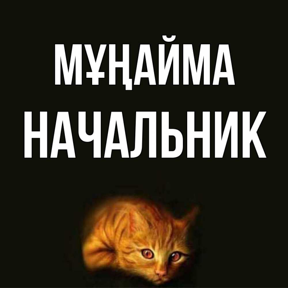 Күн сайын ашық хат с именем, Начальник Мұңайма лежащий кот в темноте Онлайн тегін жүктеп алу тілектері бар керемет карта 