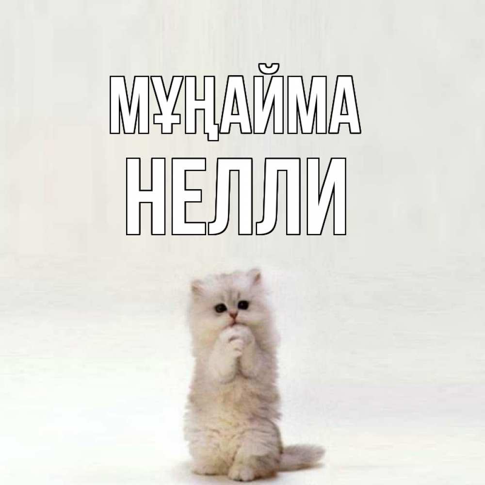 Күн сайын ашық хат с именем, Нелли Мұңайма грустный кот Онлайн тегін жүктеп алу тілектері бар керемет карта 