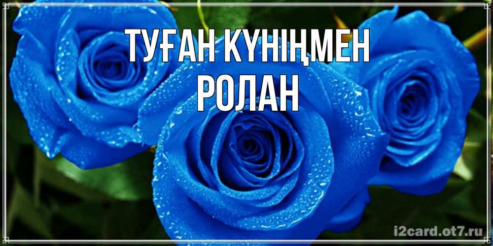 Күн сайын ашық хат с именем, Ролан Туған күніңмен розы с синим цветом Онлайн тегін жүктеп алу тілектері бар керемет карта 