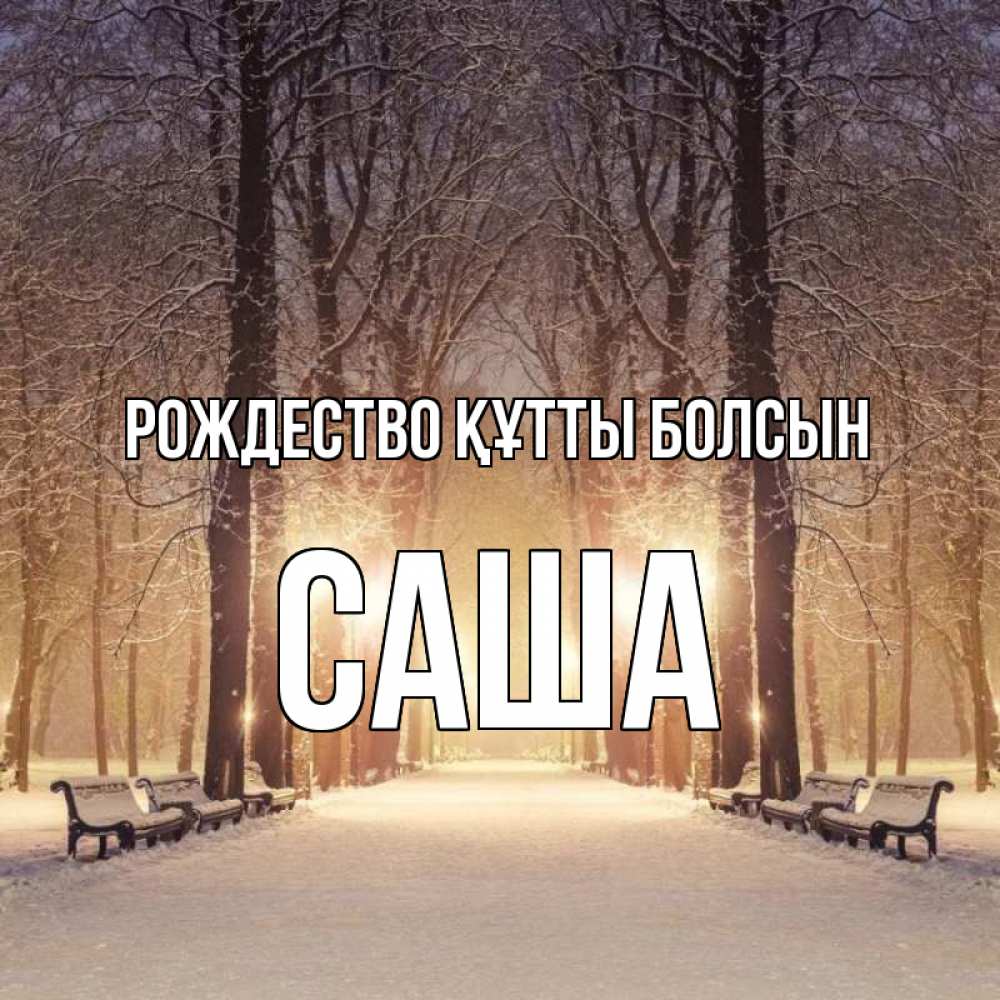 Күн сайын ашық хат с именем, Саша Рождество құтты болсын зима, парк, фонарь, лес Онлайн тегін жүктеп алу тілектері бар керемет карта 