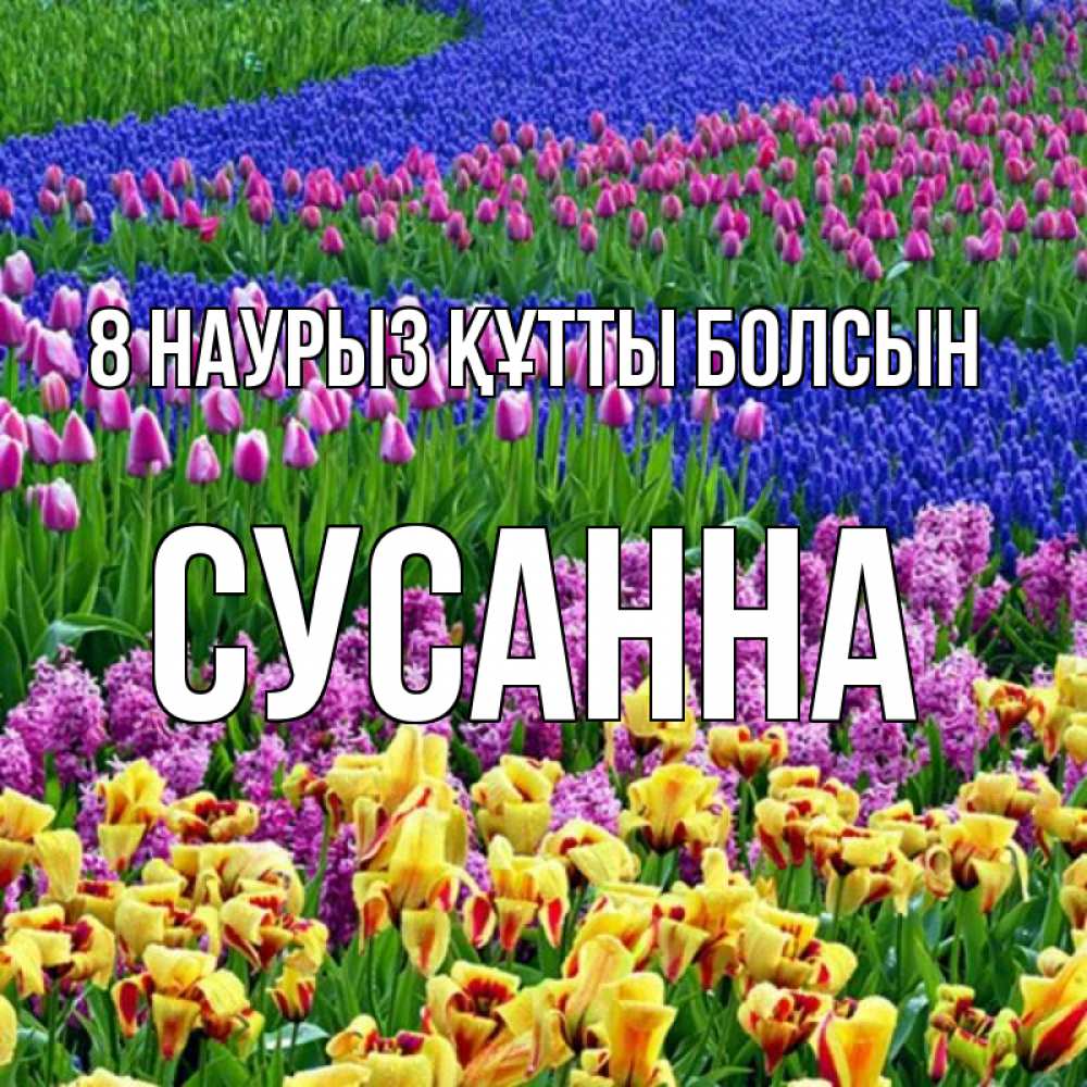 Күн сайын ашық хат с именем, Сусанна 8 наурыз құтты болсын цветы Онлайн тегін жүктеп алу тілектері бар керемет карта 