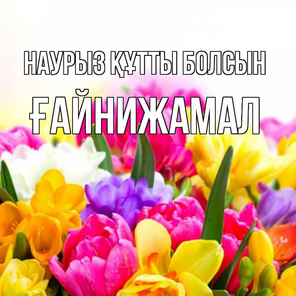 Күн сайын ашық хат с именем, ҒАЙНИЖАМАЛ Наурыз құтты болсын тюльпаны Онлайн тегін жүктеп алу тілектері бар керемет карта 