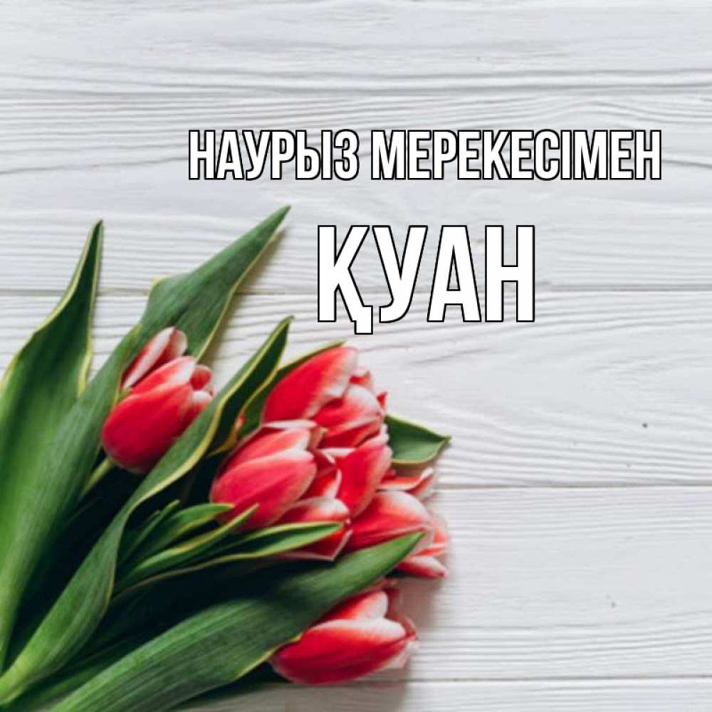 Күн сайын ашық хат с именем, ҚУАН Наурыз мерекесімен весна 2 Онлайн тегін жүктеп алу тілектері бар керемет карта 
