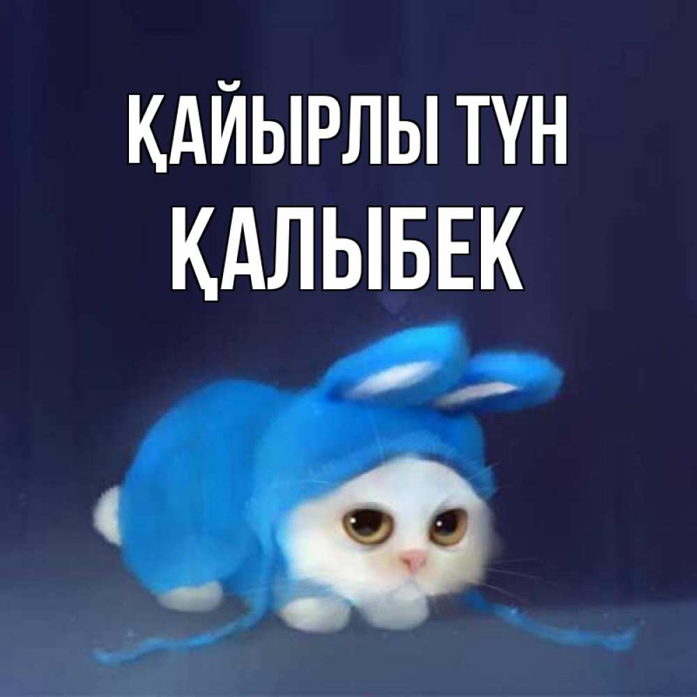 Күн сайын ашық хат с именем, Қалыбек Қайырлы түн кот в голубом костюме кролика с ушками Онлайн тегін жүктеп алу тілектері бар керемет карта 