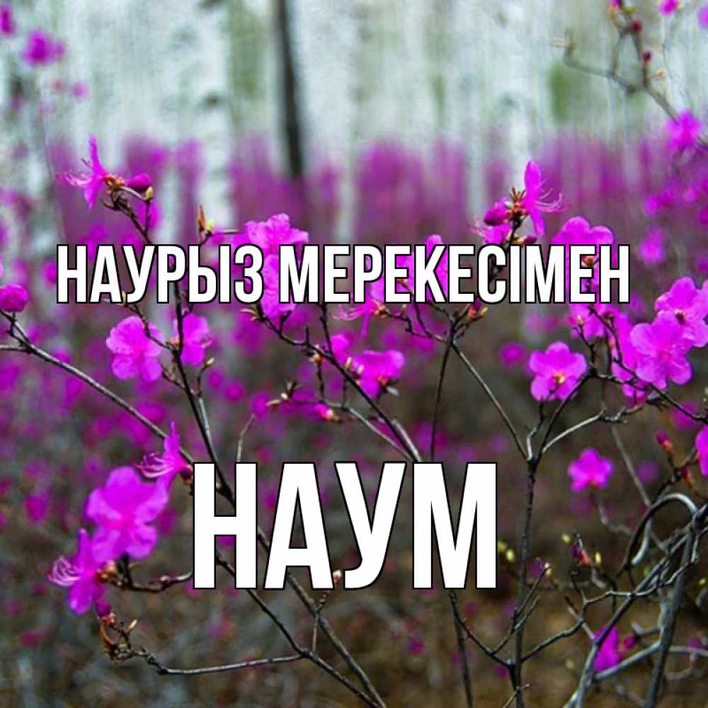 Күн сайын ашық хат с именем, Наум Наурыз мерекесімен дикие цветы Онлайн тегін жүктеп алу тілектері бар керемет карта 