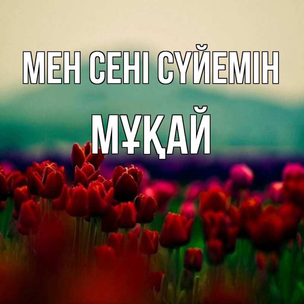 Күн сайын ашық хат с именем, Мұқай Мен сені сүйемін тюльпаны 4 Онлайн тегін жүктеп алу тілектері бар керемет карта 
