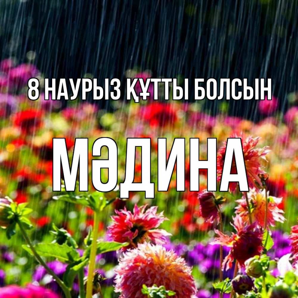 Күн сайын ашық хат с именем, МӘДИНА 8 наурыз құтты болсын цветы под дождиком к международному женскому дню Онлайн тегін жүктеп алу тілектері бар керемет карта 