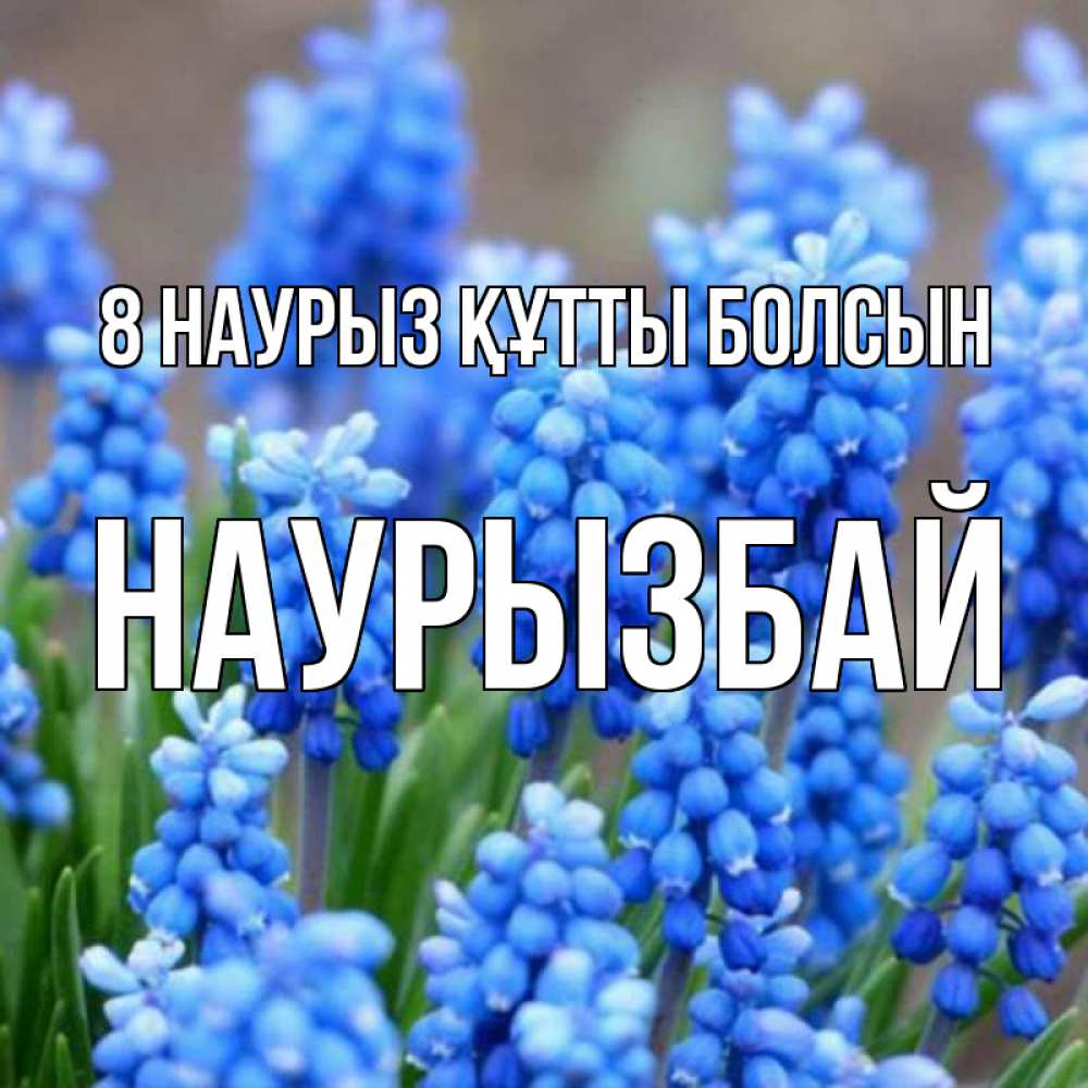 Күн сайын ашық хат с именем, Наурызбай 8 наурыз құтты болсын Поздравительная открытка для женщин с цветами на праздничную дату Онлайн тегін жүктеп алу тілектері бар керемет карта 