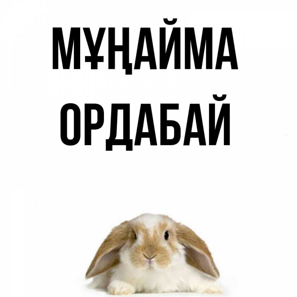 Күн сайын ашық хат с именем, ОРДАБАЙ Мұңайма коричнево белый заяц с большими ушками Онлайн тегін жүктеп алу тілектері бар керемет карта 