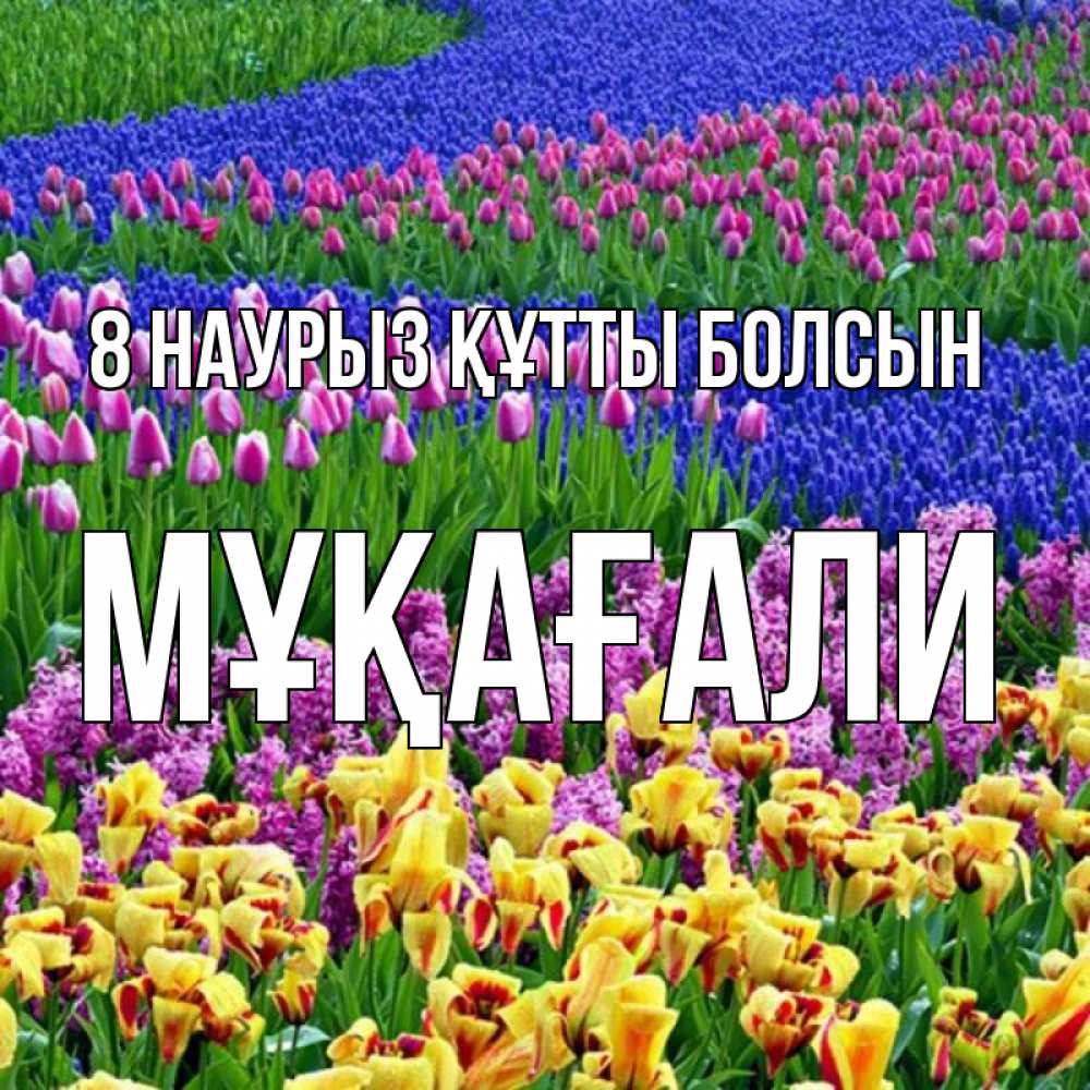 Күн сайын ашық хат с именем, МҰҚАҒАЛИ 8 наурыз құтты болсын цветы Онлайн тегін жүктеп алу тілектері бар керемет карта 