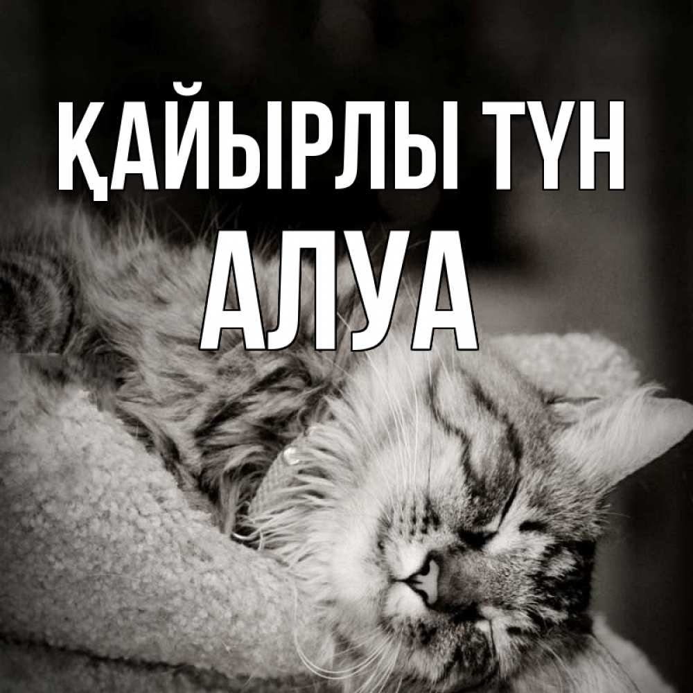 Күн сайын ашық хат с именем, АЛУА Қайырлы түн котярик пушистый Онлайн тегін жүктеп алу тілектері бар керемет карта 