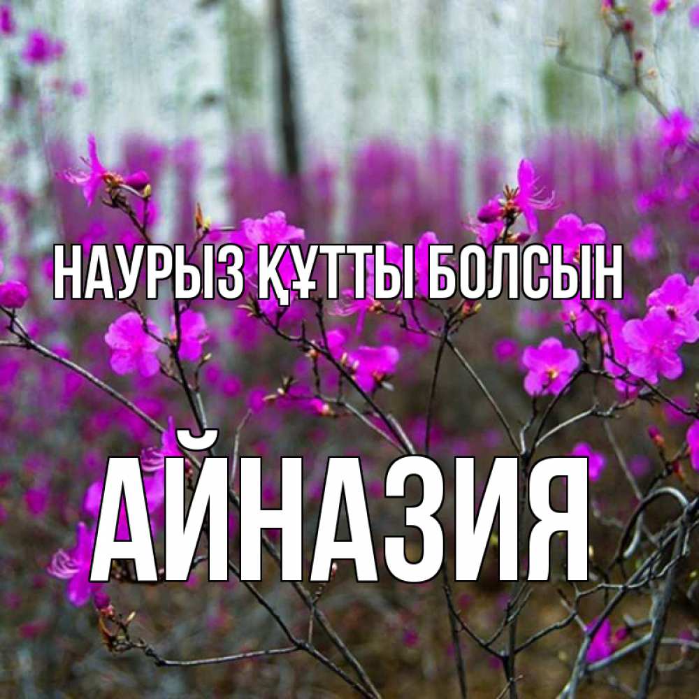 Күн сайын ашық хат с именем, Айназия Наурыз құтты болсын дикие цветы Онлайн тегін жүктеп алу тілектері бар керемет карта 