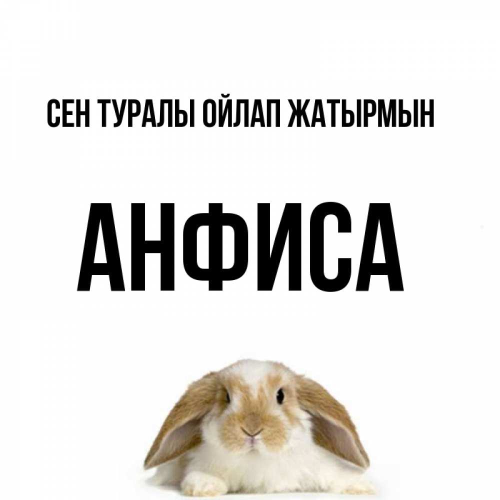 Күн сайын ашық хат с именем, Анфиса Сен туралы ойлап жатырмын подписать своими руками онлайн Онлайн тегін жүктеп алу тілектері бар керемет карта 