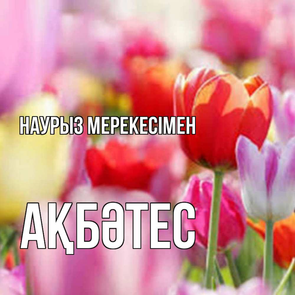Күн сайын ашық хат с именем, АҚБӘТЕС Наурыз мерекесімен праздник весны наурыз 67 Онлайн тегін жүктеп алу тілектері бар керемет карта 