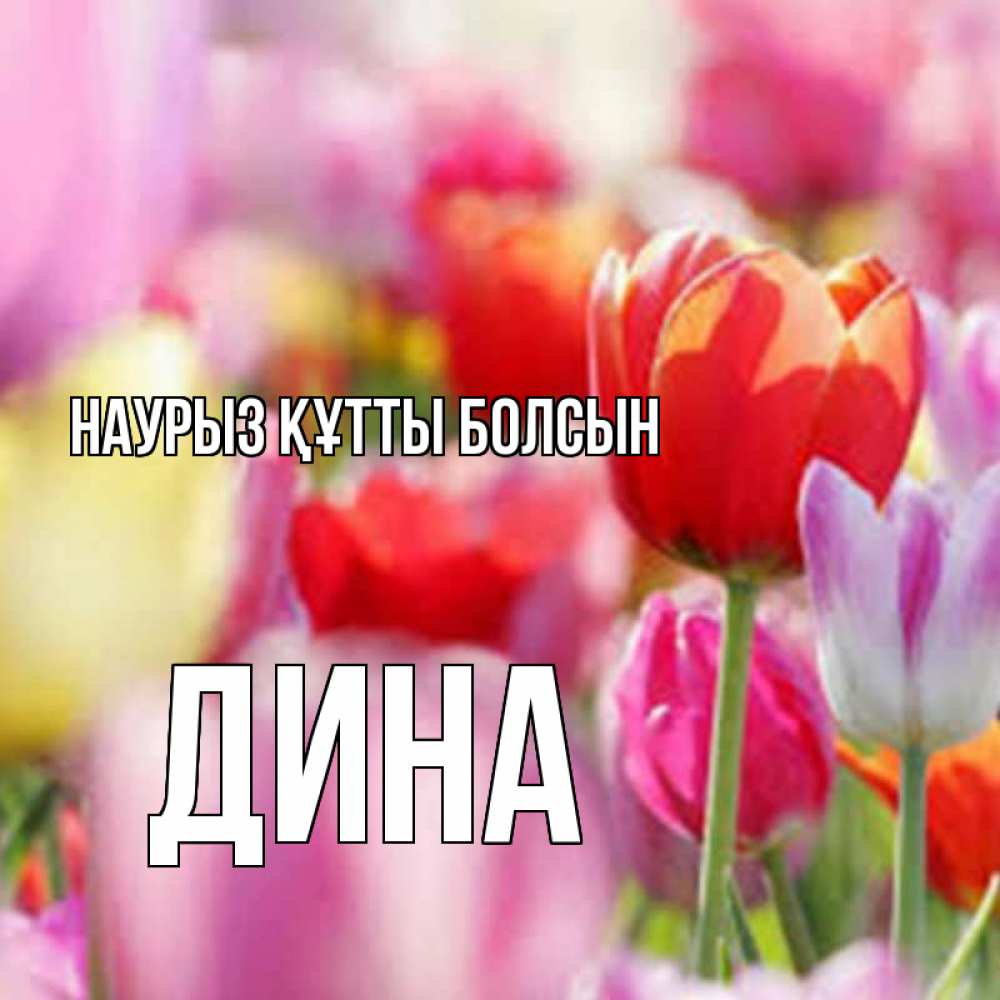 Күн сайын ашық хат с именем, Дина Наурыз құтты болсын на наурыз  2 Онлайн тегін жүктеп алу тілектері бар керемет карта 