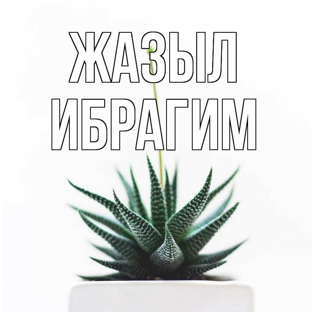 Күн сайын ашық хат с именем, Ибрагим Жазыл короче это непонятная колючка Онлайн тегін жүктеп алу тілектері бар керемет карта 