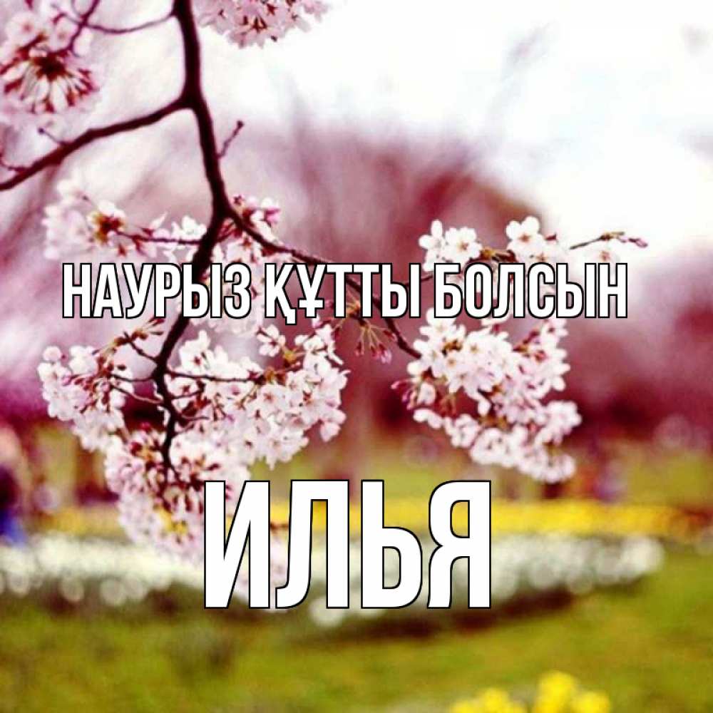 Күн сайын ашық хат с именем, Илья Наурыз құтты болсын яблоня Онлайн тегін жүктеп алу тілектері бар керемет карта 