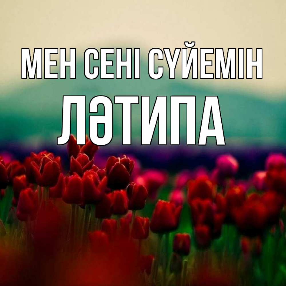 Күн сайын ашық хат с именем, ЛӘТИПА Мен сені сүйемін тюльпаны 4 Онлайн тегін жүктеп алу тілектері бар керемет карта 