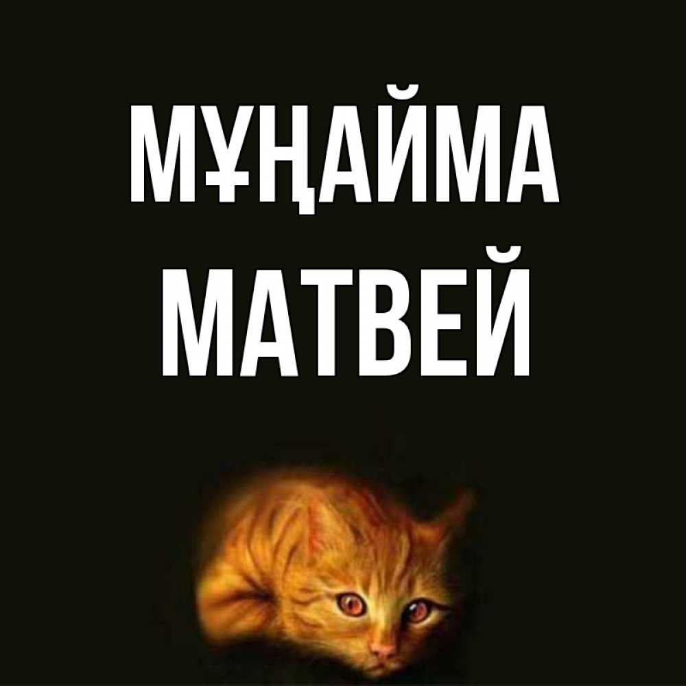 Күн сайын ашық хат с именем, Матвей Мұңайма лежащий кот в темноте Онлайн тегін жүктеп алу тілектері бар керемет карта 