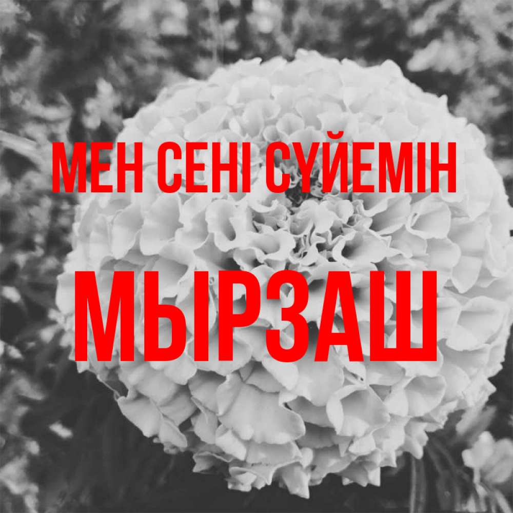 Күн сайын ашық хат с именем, Мырзаш Мен сені сүйемін подпись Онлайн тегін жүктеп алу тілектері бар керемет карта 