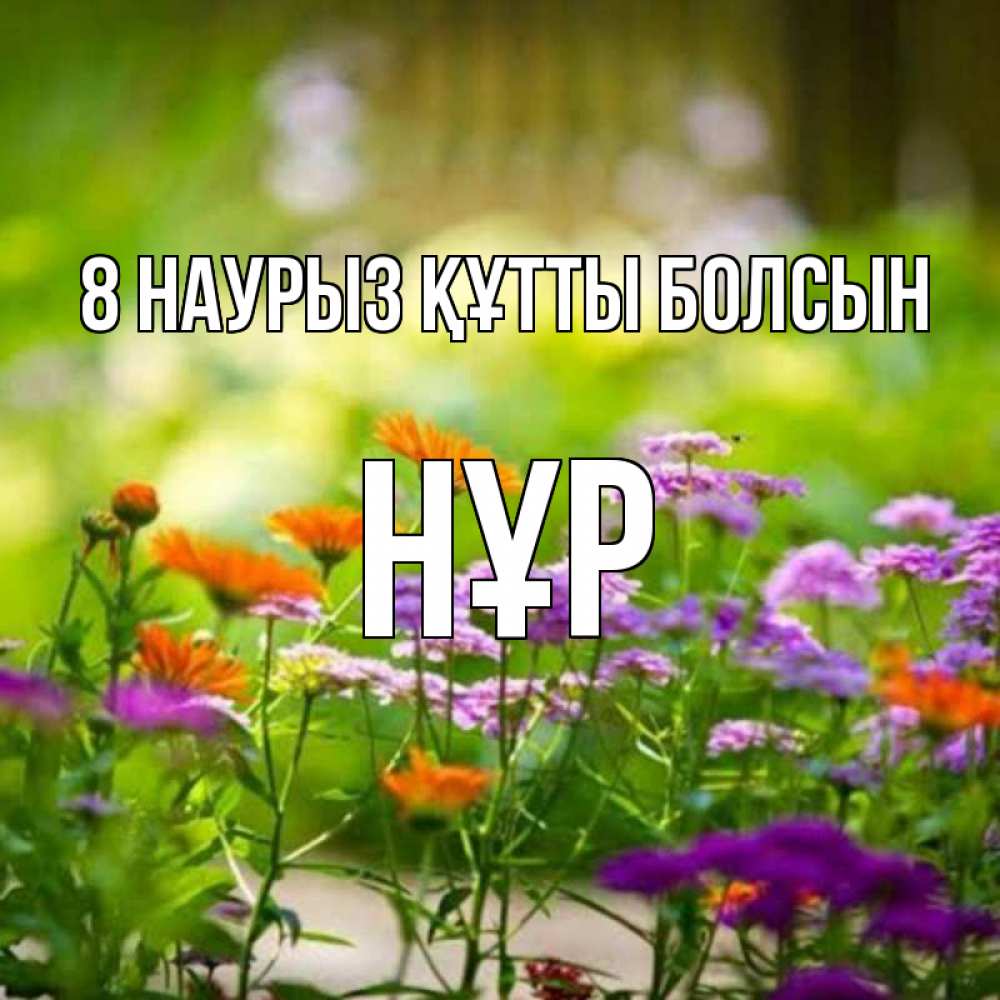 Күн сайын ашық хат с именем, НҰР 8 наурыз құтты болсын цветы Онлайн тегін жүктеп алу тілектері бар керемет карта 