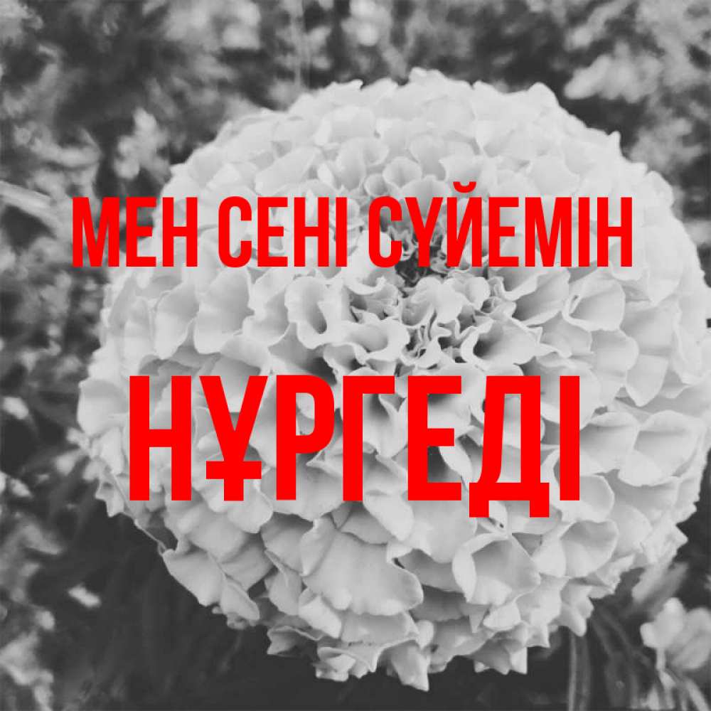 Күн сайын ашық хат с именем, НҰРГЕДІ Мен сені сүйемін подпись Онлайн тегін жүктеп алу тілектері бар керемет карта 