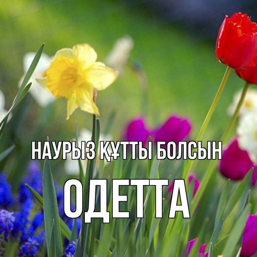 Күн сайын ашық хат с именем, Одетта Наурыз құтты болсын наурыз  3 открытки Онлайн тегін жүктеп алу тілектері бар керемет карта 