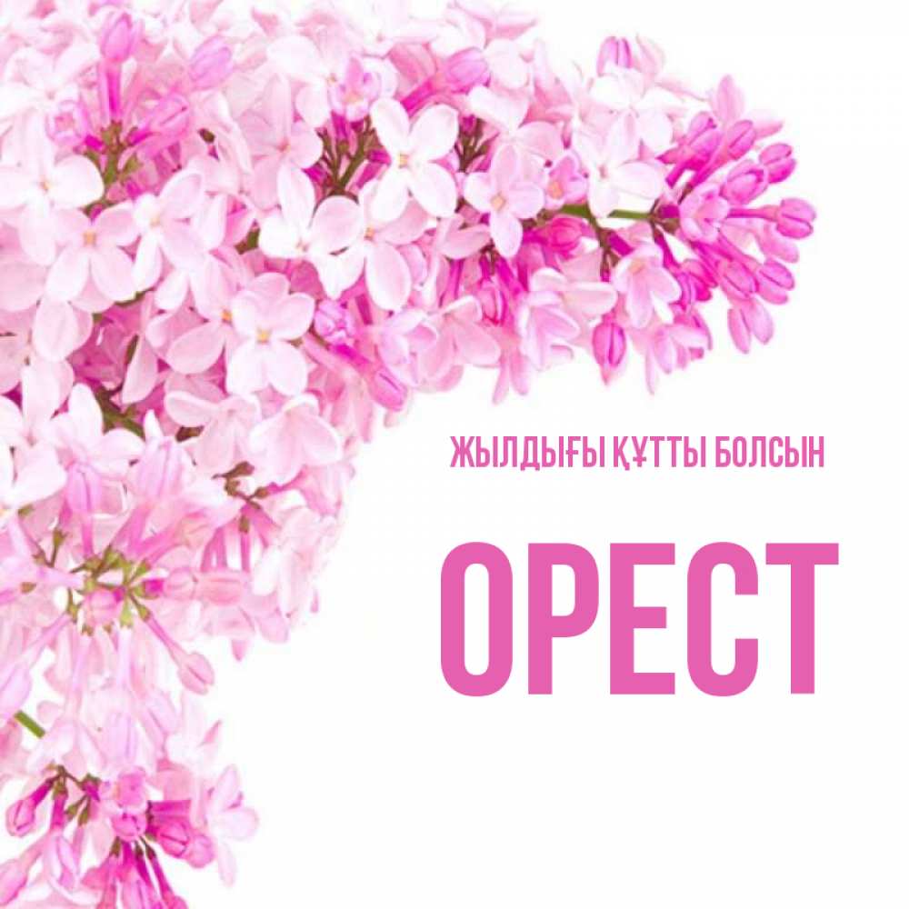 Күн сайын ашық хат с именем, Орест Жылдығы құтты болсын Сирень на белом фоне Онлайн тегін жүктеп алу тілектері бар керемет карта 