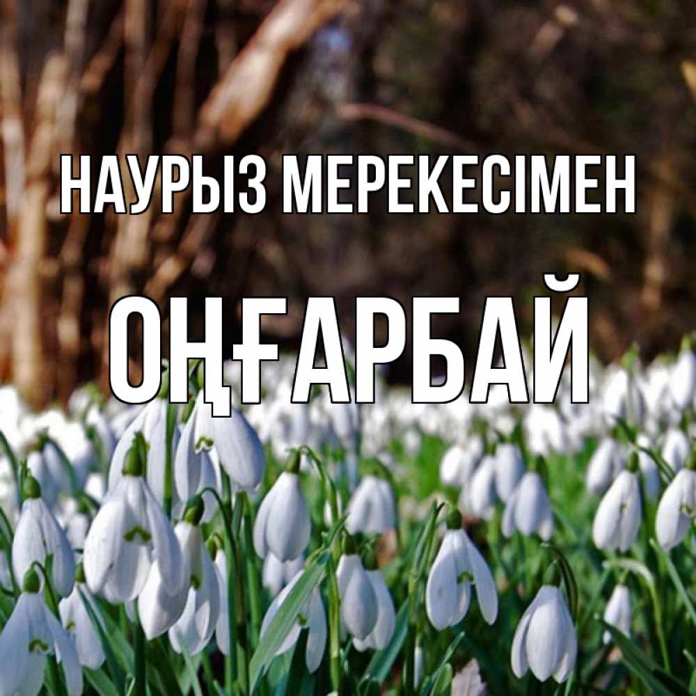 Күн сайын ашық хат с именем, ОҢҒАРБАЙ Наурыз мерекесімен с подснежниками 1 Онлайн тегін жүктеп алу тілектері бар керемет карта 