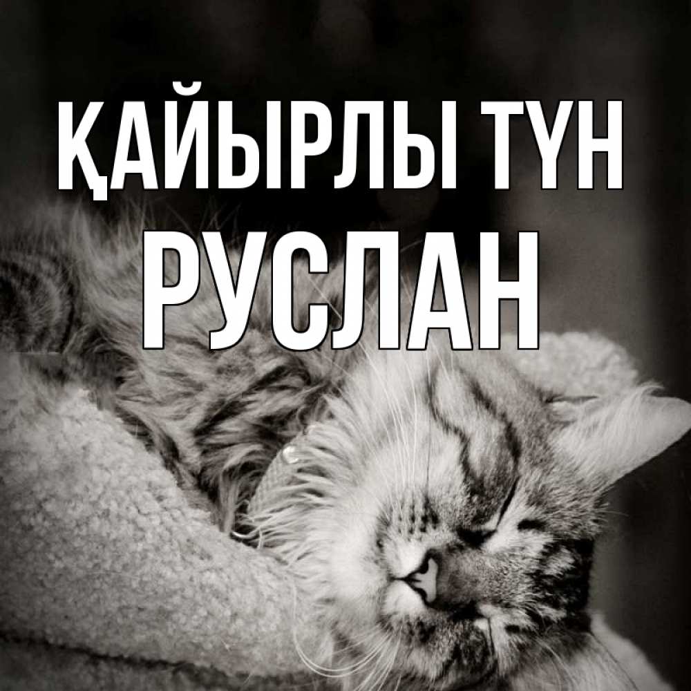 Күн сайын ашық хат с именем, РУСЛАН Қайырлы түн котярик пушистый Онлайн тегін жүктеп алу тілектері бар керемет карта 