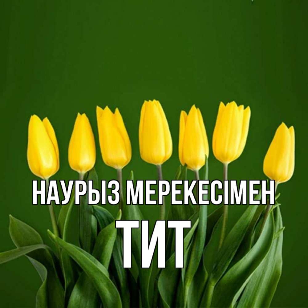 Күн сайын ашық хат с именем, Тит Наурыз мерекесімен желтого цвета 3 Онлайн тегін жүктеп алу тілектері бар керемет карта 