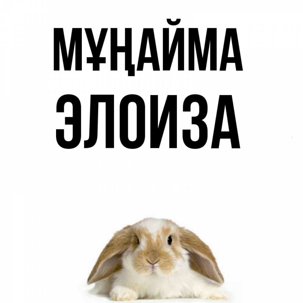 Күн сайын ашық хат с именем, Элоиза Мұңайма коричнево белый заяц с большими ушками Онлайн тегін жүктеп алу тілектері бар керемет карта 