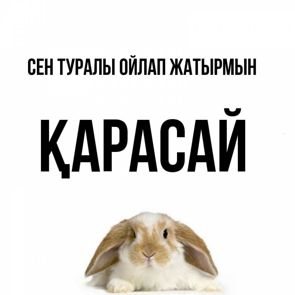 Күн сайын ашық хат с именем, Қарасай Сен туралы ойлап жатырмын подписать своими руками онлайн Онлайн тегін жүктеп алу тілектері бар керемет карта 