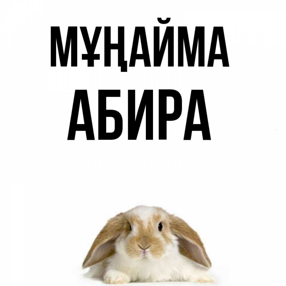 Күн сайын ашық хат с именем, АБИРА Мұңайма коричнево белый заяц с большими ушками Онлайн тегін жүктеп алу тілектері бар керемет карта 