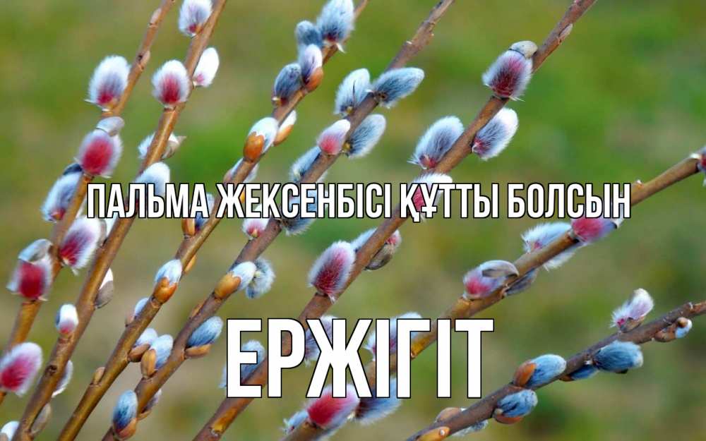 Күн сайын ашық хат с именем, Ержігіт Пальма жексенбісі құтты болсын верба Онлайн тегін жүктеп алу тілектері бар керемет карта 