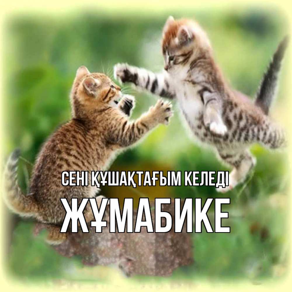 Күн сайын ашық хат с именем, ЖҰМАБИКЕ сені құшақтағым келеді игры котят Онлайн тегін жүктеп алу тілектері бар керемет карта 