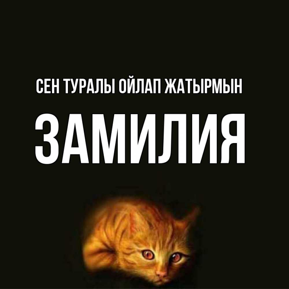 Күн сайын ашық хат с именем, ЗАМИЛИЯ Сен туралы ойлап жатырмын рыжий Онлайн тегін жүктеп алу тілектері бар керемет карта 