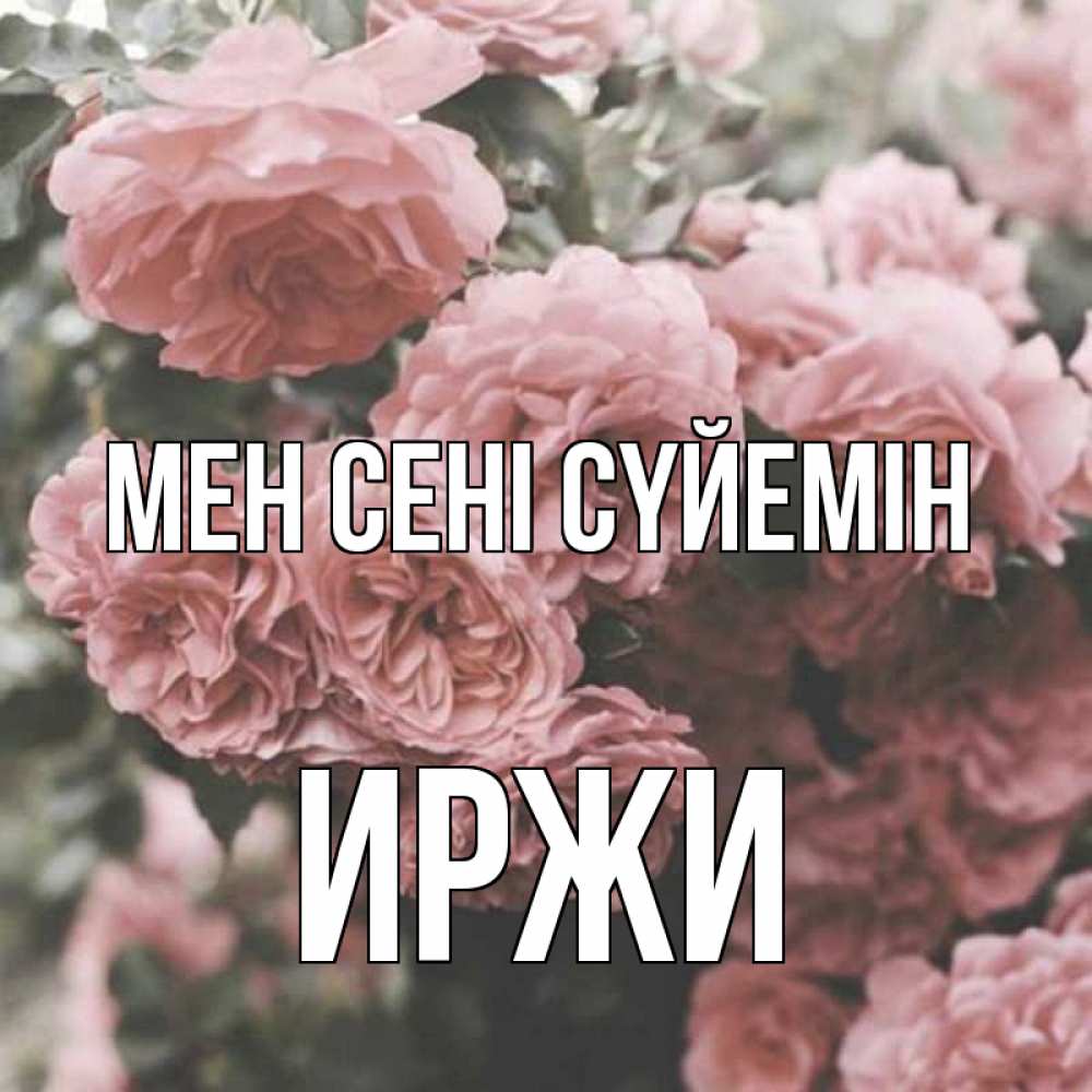 Күн сайын ашық хат с именем, Иржи Мен сені сүйемін розы 3 Онлайн тегін жүктеп алу тілектері бар керемет карта 
