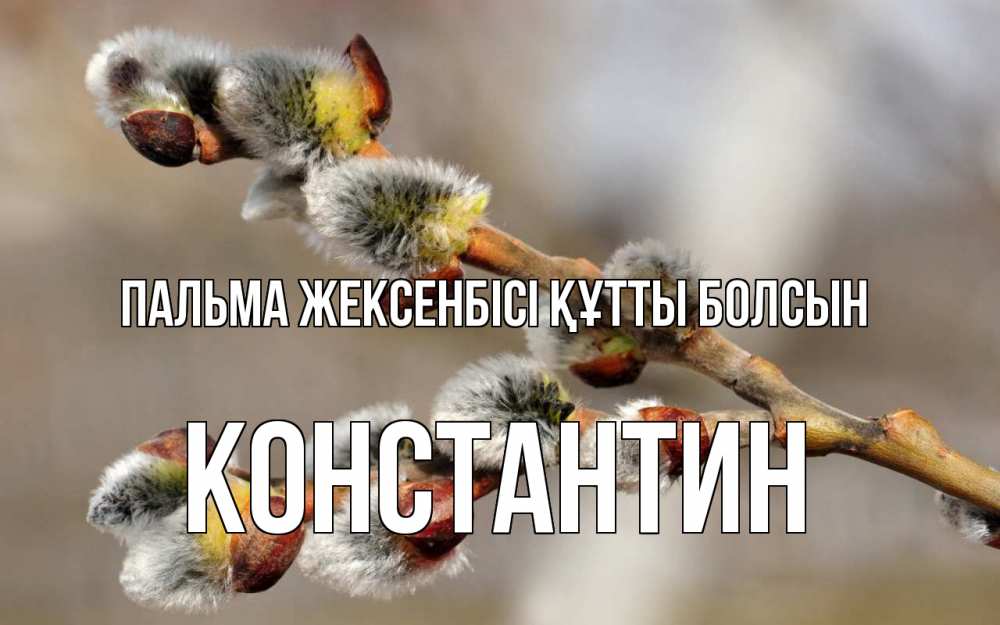 Күн сайын ашық хат с именем, Константин Пальма жексенбісі құтты болсын Верба Онлайн тегін жүктеп алу тілектері бар керемет карта 